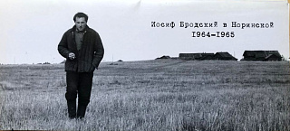Иосиф Бродский в Норинской. 1964-1965: Набор фотографий.