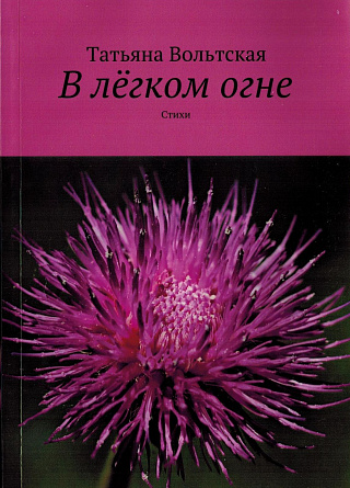 В лёгком огне: Стихи.