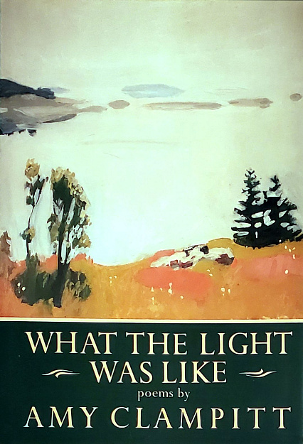 What the Light Was Like: poems