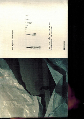 Следы на воде / следы на снегу = Watermarks / Snowmarks.